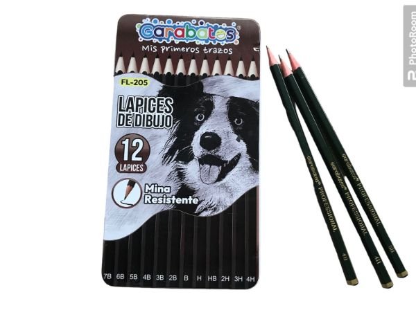 Lapiz De Dibujo X12 Pzs Fl-205 X3 Cajas