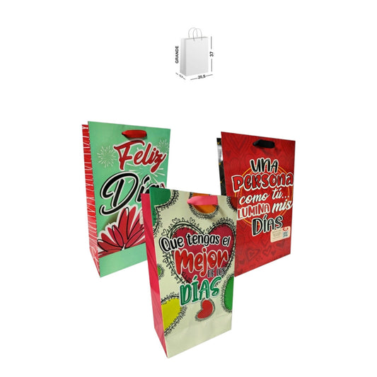 Bolsa Brillante Vertical Amor 37*20,5*12,5 Cm FM12327 X6 Unds