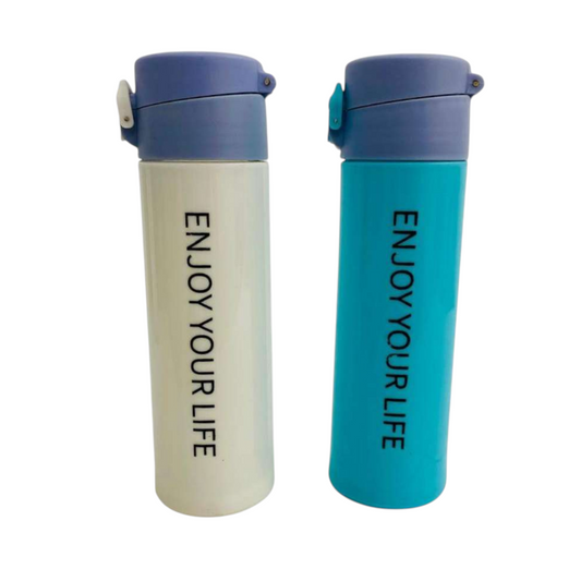Termo De Vidrio 350 Ml DK-3147