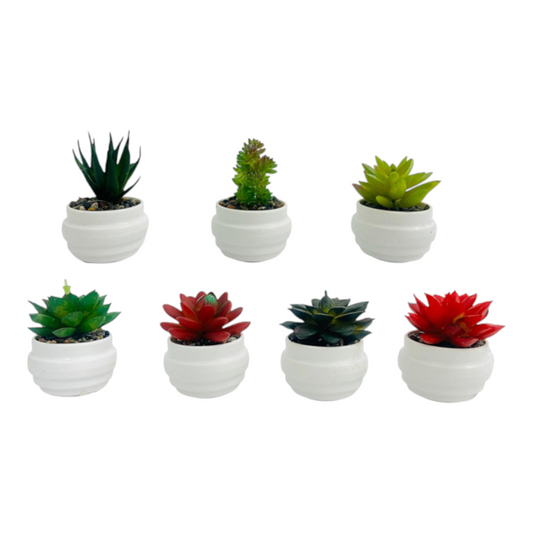 Planta Decorativa DK-3105 X6 Unds