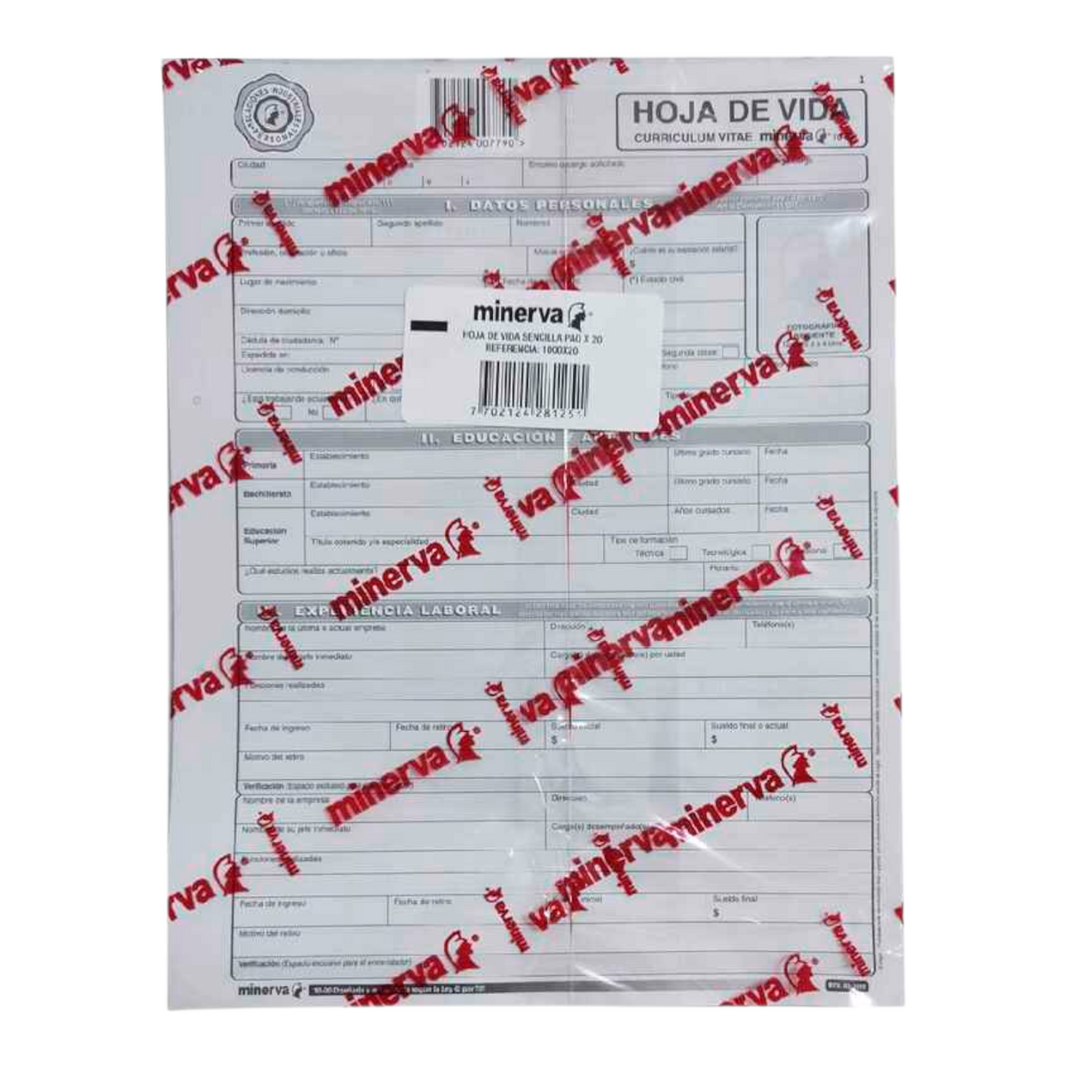 Hoja De Vida Gris X20 Unds