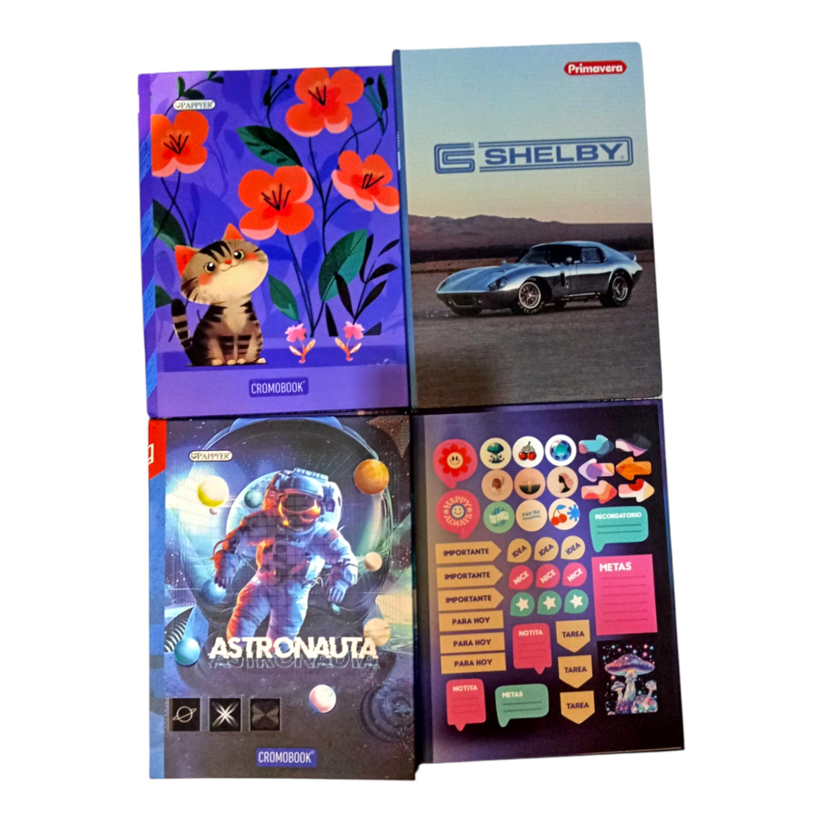 Cuaderno Cosido Cuadriculado Pasta Dura Con Sticker Scribe 100 Hojas
